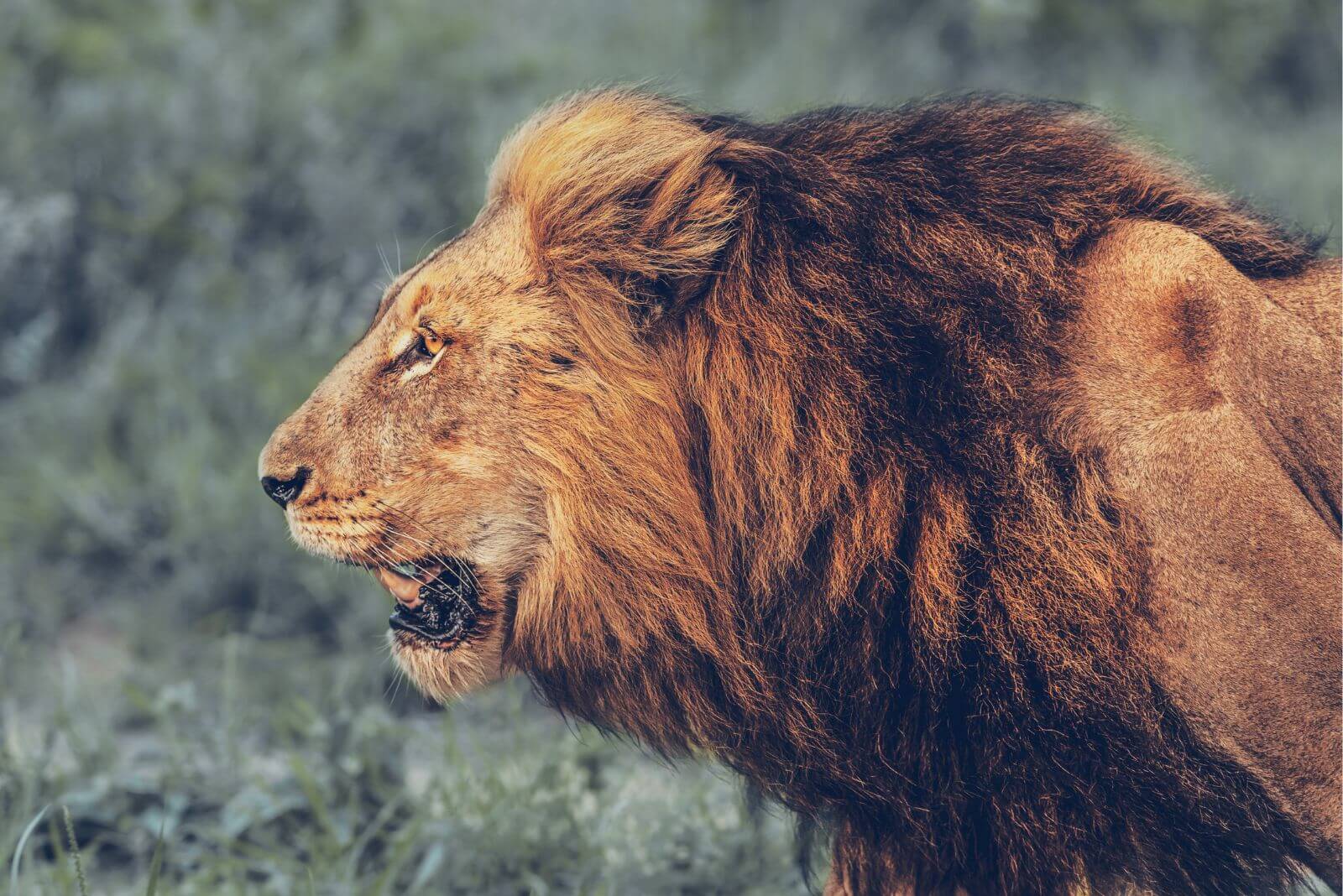 Declaração de Imposto de Renda